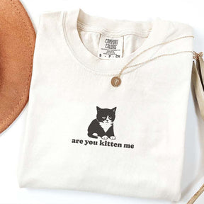 Are You Kitten Me Funny Cat Meme T-Shirt