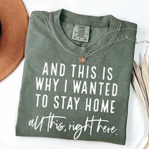 See This Is Why I Wanted To Stay Home T-Shirt