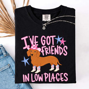 I've Got Friends In Low Places T-Shirt