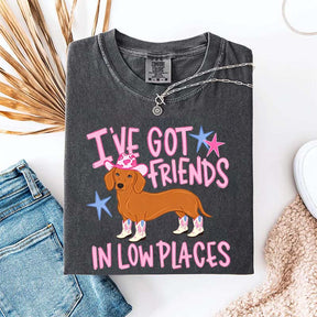 I've Got Friends In Low Places T-Shirt