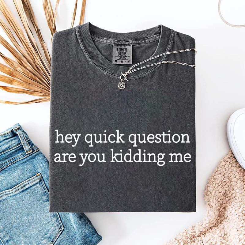Hey Quick Question Are You Kidding Me Funny T-Shirt