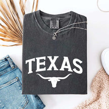 Retro Comfort Colors Texas T-Shirt