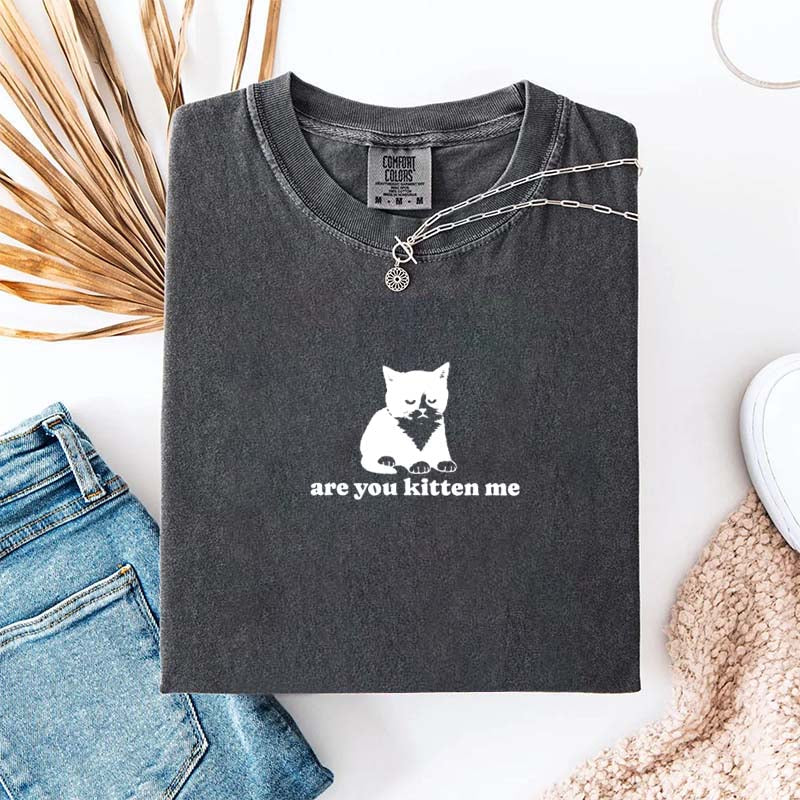 Are You Kitten Me Funny Cat Meme T-Shirt