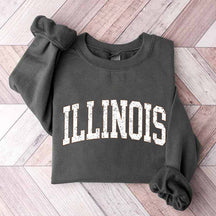 Illinois Game Day Sweatshirt