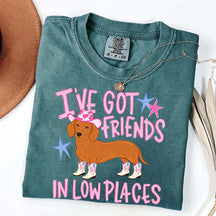 I've Got Friends In Low Places T-Shirt