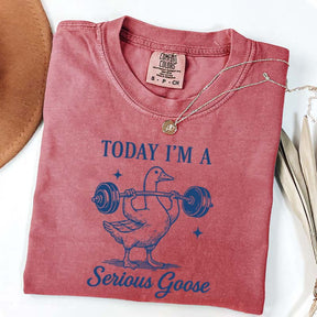 Today I'm A Serious Goose Weightlifting T-Shirt
