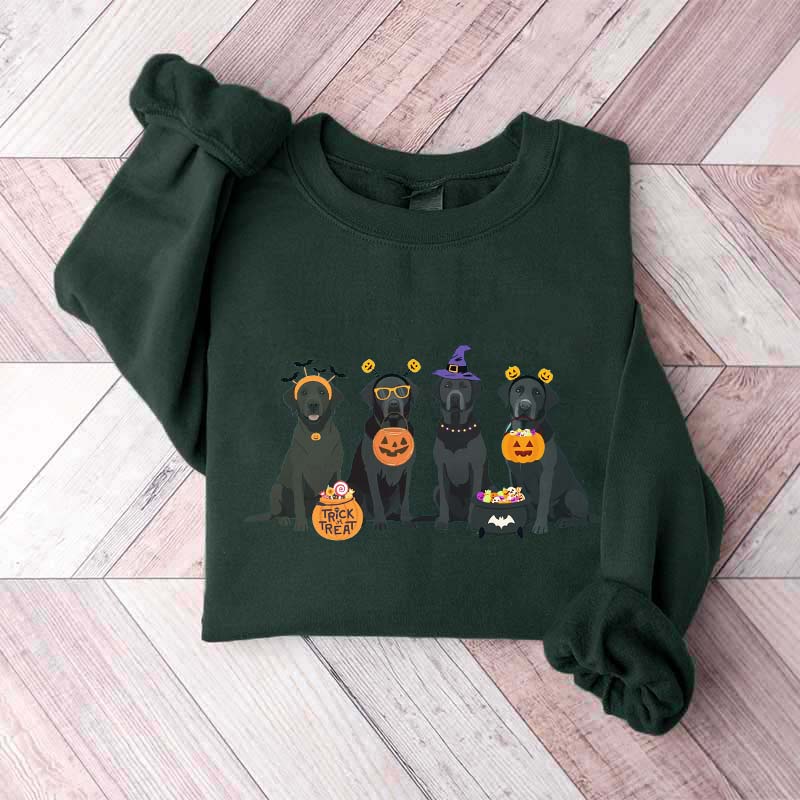 Halloween Black Lab Fall Dog Sweatshirt