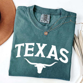 Retro Comfort Colors Texas T-Shirt