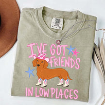 I've Got Friends In Low Places T-Shirt