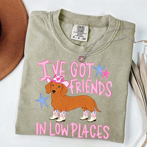 I've Got Friends In Low Places T-Shirt