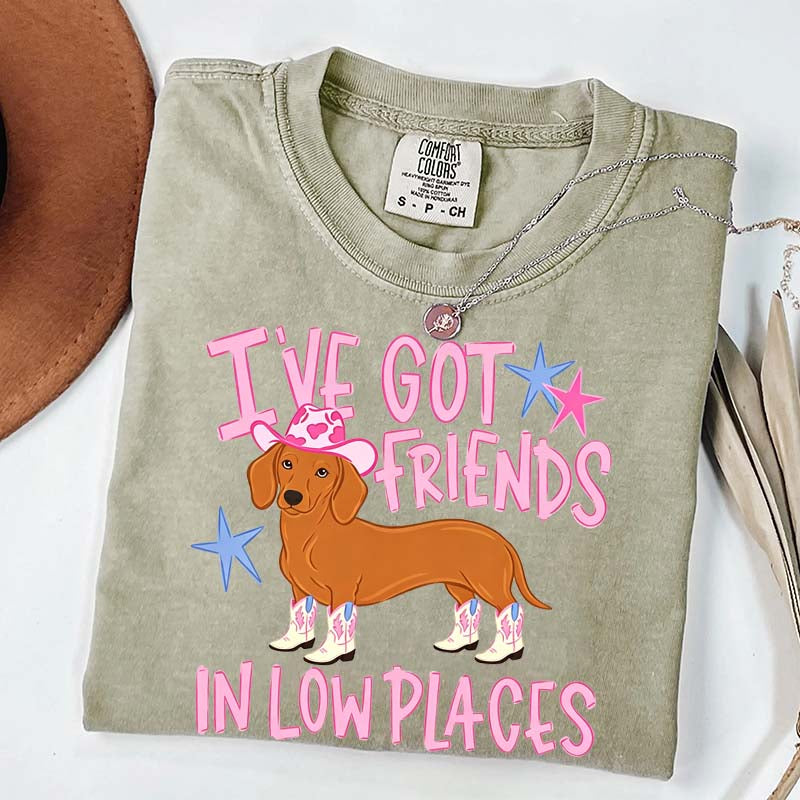 I've Got Friends In Low Places T-Shirt
