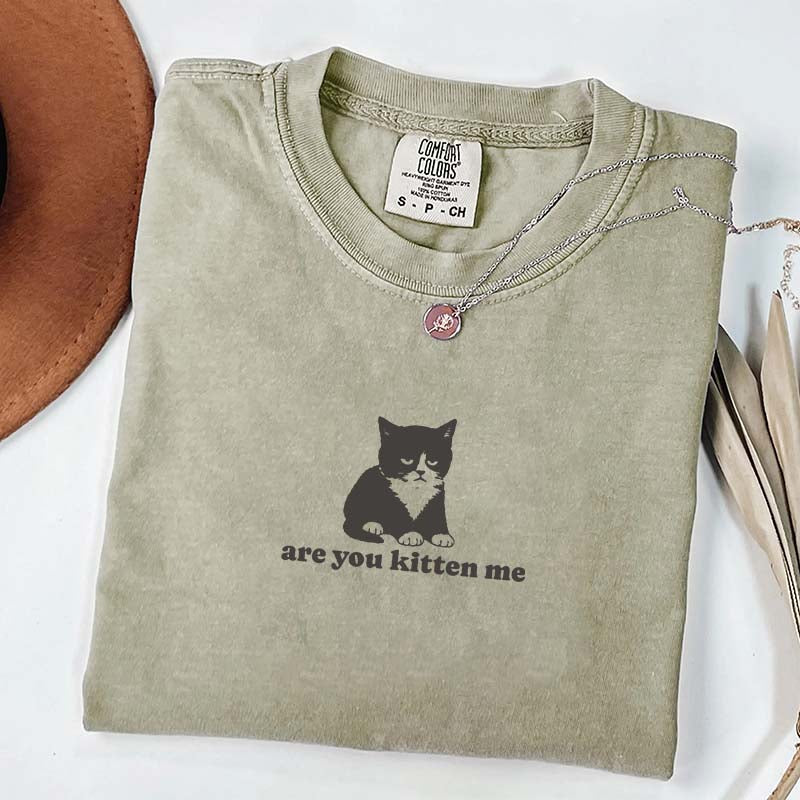 Are You Kitten Me Funny Cat Meme T-Shirt