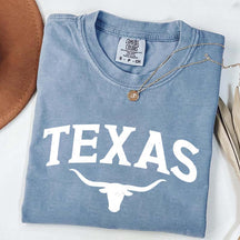Retro Comfort Colors Texas T-Shirt