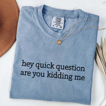 Hey Quick Question Are You Kidding Me Funny T-Shirt