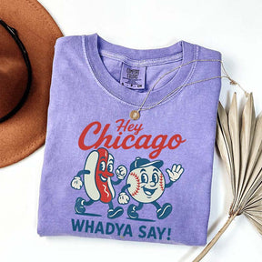Hey Chicago Funny Baseball T-Shirt