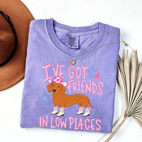 I've Got Friends In Low Places T-Shirt