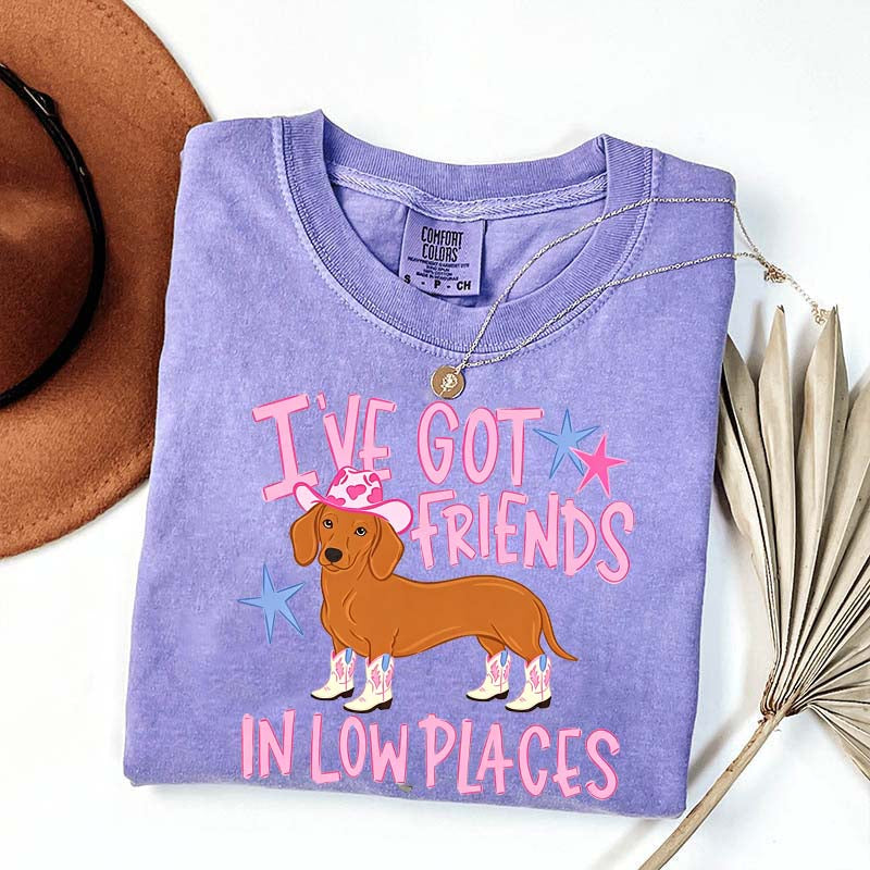 I've Got Friends In Low Places T-Shirt