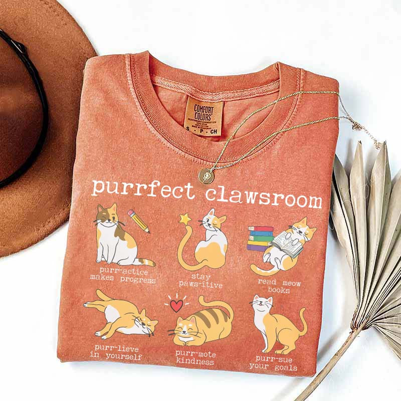 Funny Teacher Cat Book T-Shirt