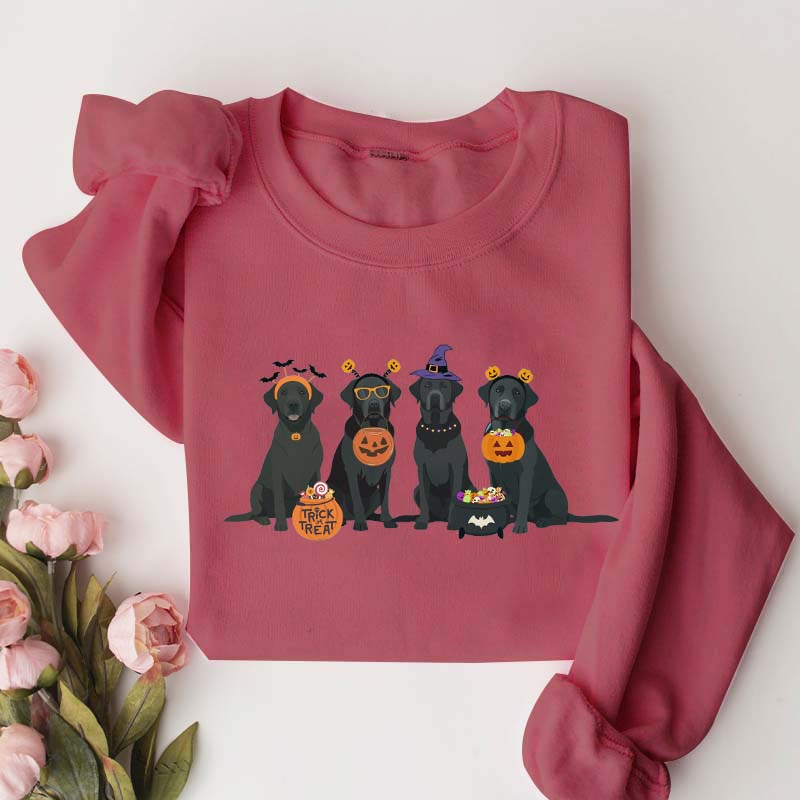 Halloween Black Lab Fall Dog Sweatshirt