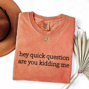 Hey Quick Question Are You Kidding Me Funny T-Shirt