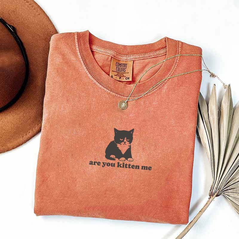 Are You Kitten Me Funny Cat Meme T-Shirt