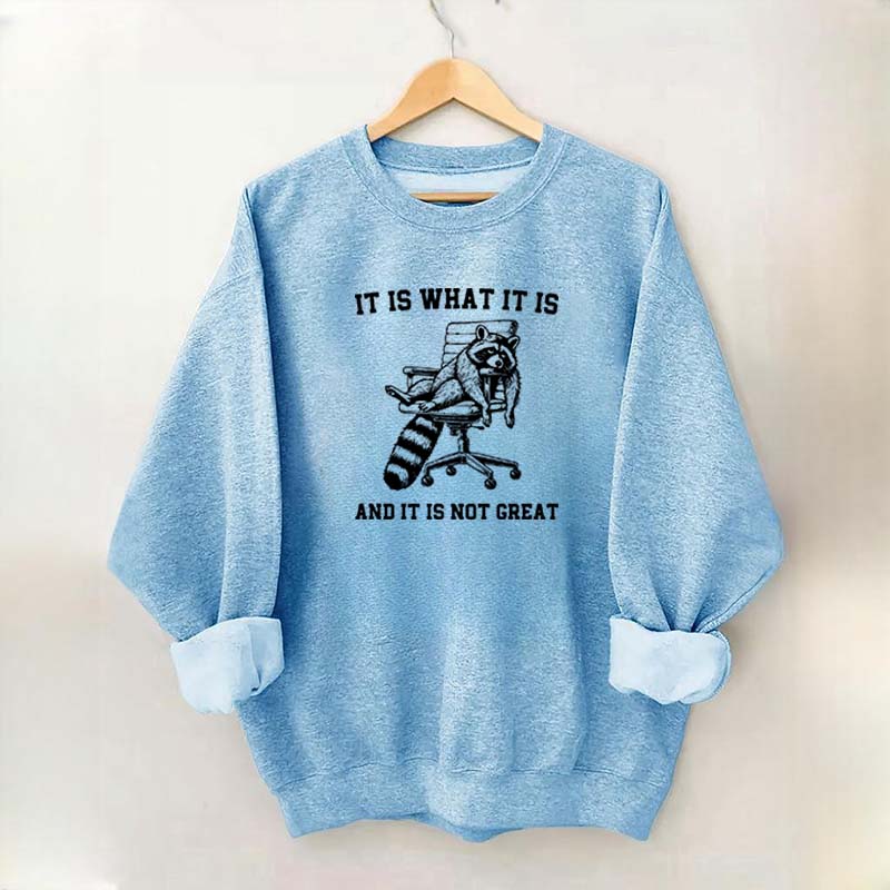 It Is What It Is Racoon Sweatshirt