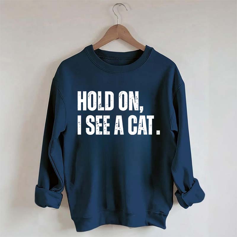 Hold On I See A Cat Sweatshirt